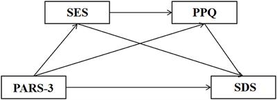 The effect of physical activity on depression in university students: the mediating role of self-esteem and positive psychological capital